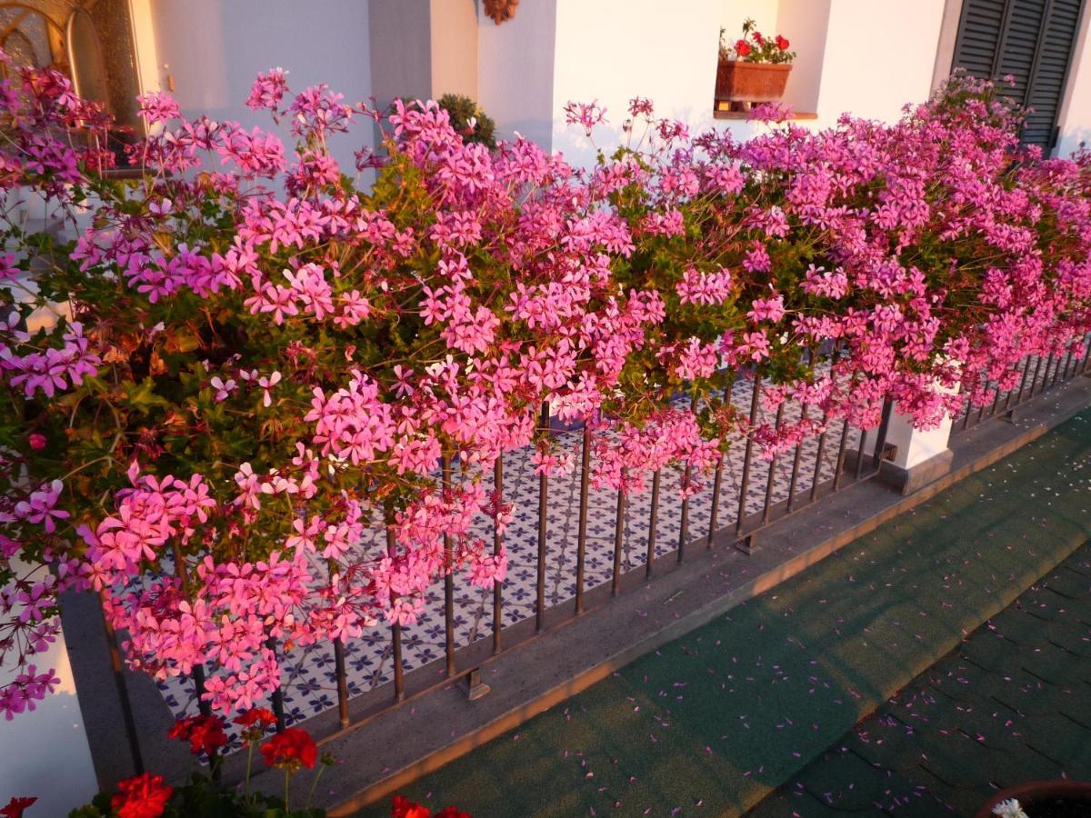 B&B Dea Fortuna Bacoli Buitenkant foto